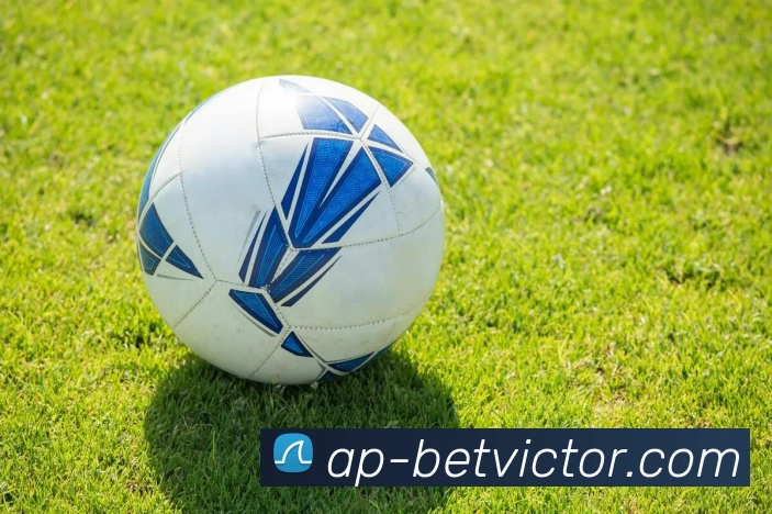 betvictor伟德官网平台生态图