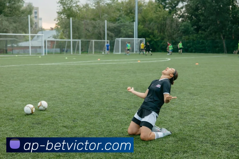 betvictor伟德官网APP 封面图